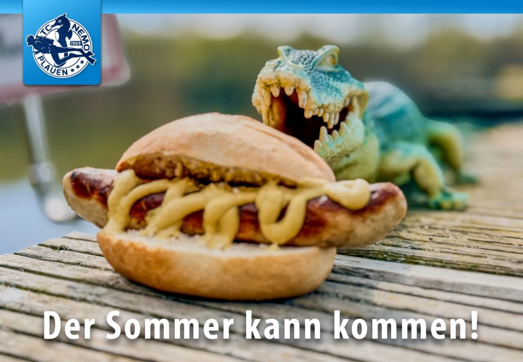 Frühjahrsputz an der Pöhl